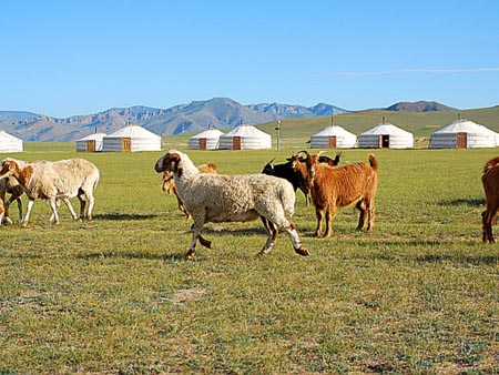 ツーリストキャンプから乗馬ライディングをスタート