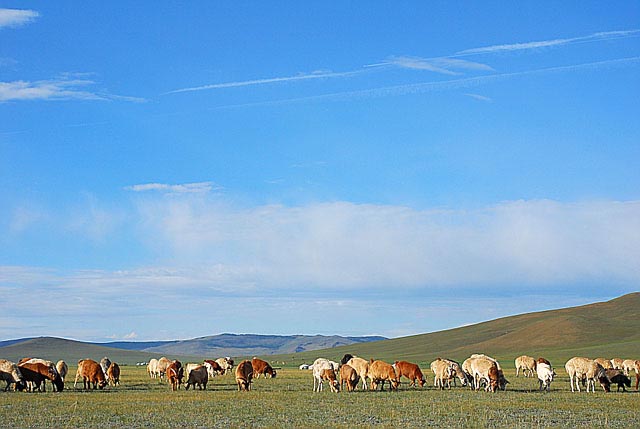どこまでも続く大草原。たくさんの風景が待っています。