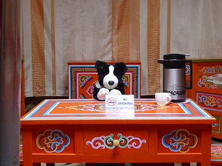 ゲルを拠点に乗馬ライディングをお楽しみください。